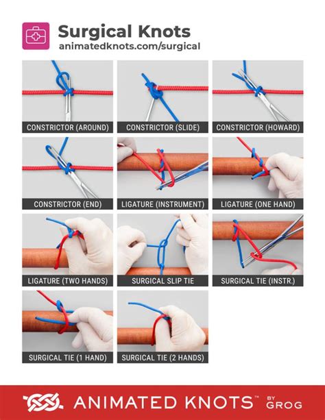 Surgical Knots | Surgical stitches, Basic anatomy and physiology ...