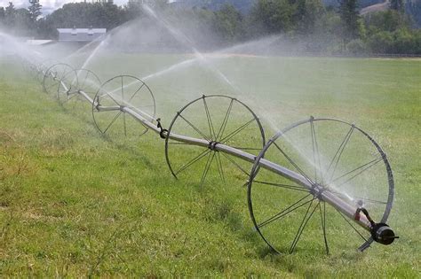 Sprinkler irrigation System: Types, advantages and disadvantages (2022)