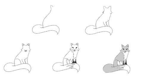 How to Draw a Fox (Step by Step with Pictures) - Jae Johns