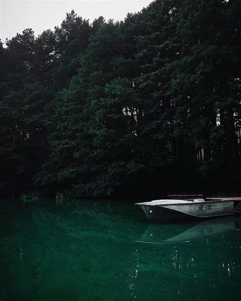 White Canoe Near Trees · Free Stock Photo