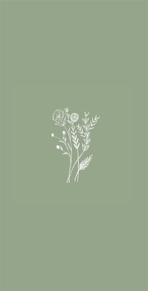 Details more than 57 olive green wallpaper latest - in.cdgdbentre