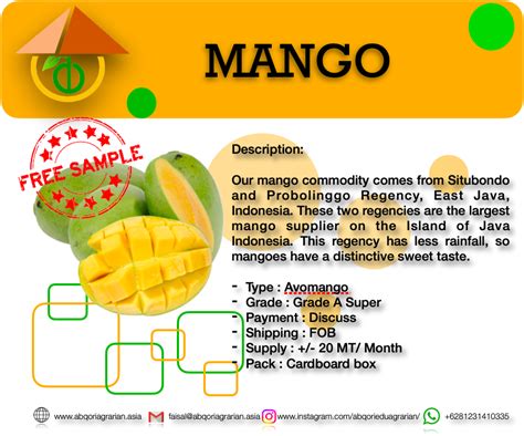 Mango | Inaexport