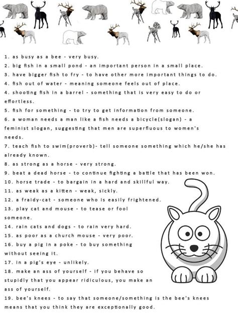 Animal Idioms | English idioms, Learn english, Idioms