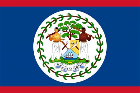 Belize flag vector - Country flags