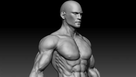 Collection of Muscle Arm PNG HD. | PlusPNG