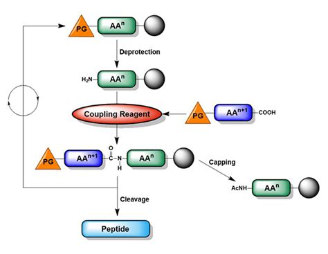 Coupling Reagents for Peptide Chemistry