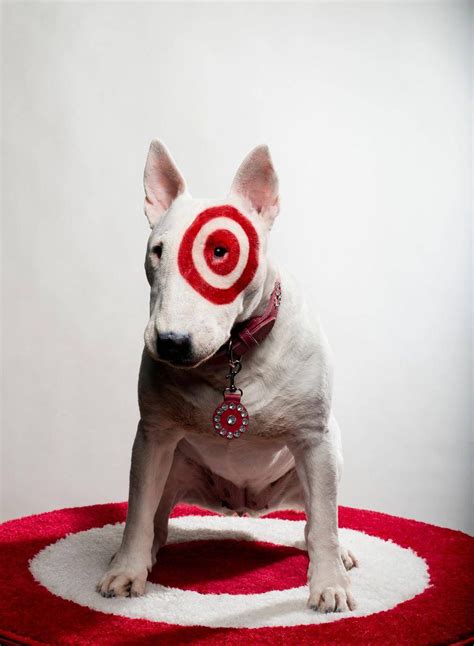 The secret life of Target's mascot, Bullseye - The Globe and Mail