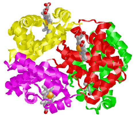 Quaternary Structure