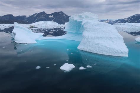 Melting icebergs affect oceanic heat delivery towards major glacier ...