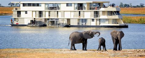 Best Botswana Safari Tours: Family, Guided, Delta day [2024]