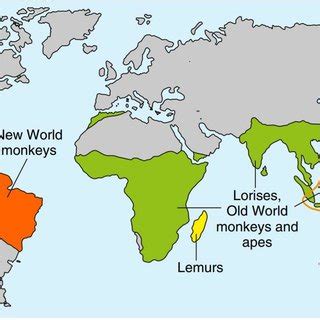 3: Global primate distribution (Martin 2012) | Download Scientific Diagram