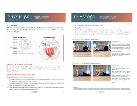 Frozen Shoulder Printable Exercises [PDF] - Physio Ed.