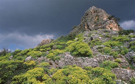 UNESCO adds Mount Carmel caves to list of World Heritage sites | The ...