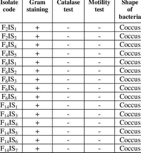 Phenotypic identification of lactic acid bacteria | Download Scientific ...