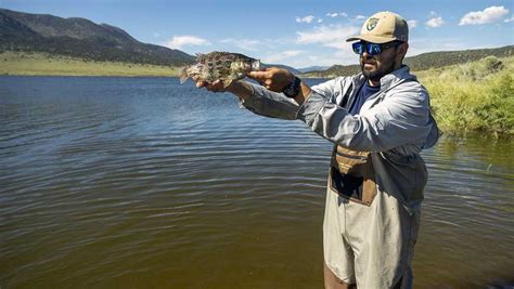 California's goal for Sacramento perch, the state's only sunfish