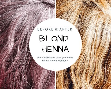 Blonde Henna Hair Recipe To Cover Grays | Organic Beauty Recipes ...