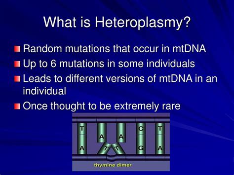 PPT - Heteroplasmy and Forensic Mitochondrial DNA Testing PowerPoint ...