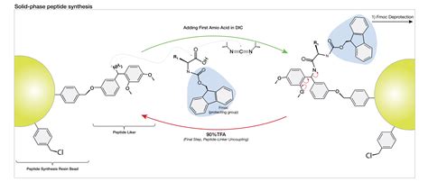 Peptide Synthesis - TOPSTIDE