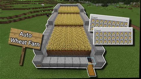 How to make an Auto Wheat Farm in Minecraft - YouTube