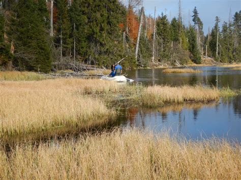 Lake Laka in Autumn Day Bohemian Forest Stock Photo - Image of closeup ...