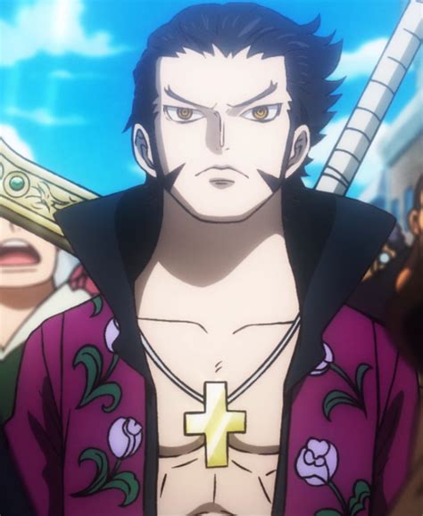 Image - Dracule Mihawk at Age 19.png | One Piece Wiki | FANDOM powered ...