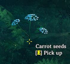 Carrot seeds | Valheim Wiki | Fandom