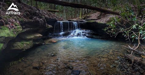 10 Best hard trails in Daniel Boone National Forest | AllTrails