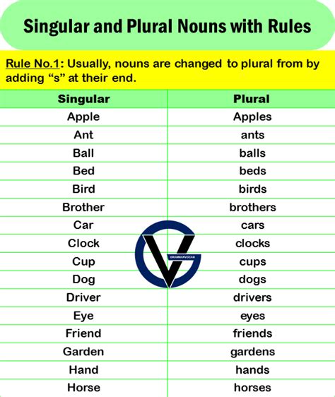 List of Singular and Plural Nouns with Rules - GrammarVocab