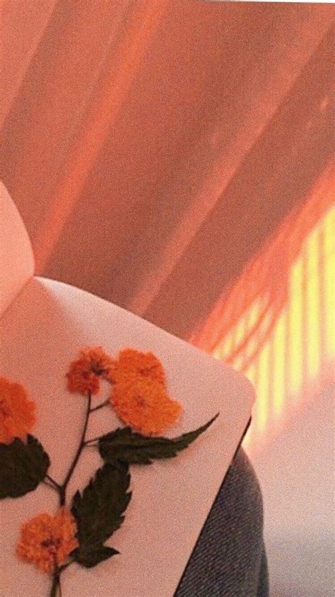 Orange Aesthetic, Aesthetic Colors, Aesthetic Vintage, Pastel Aesthetic ...