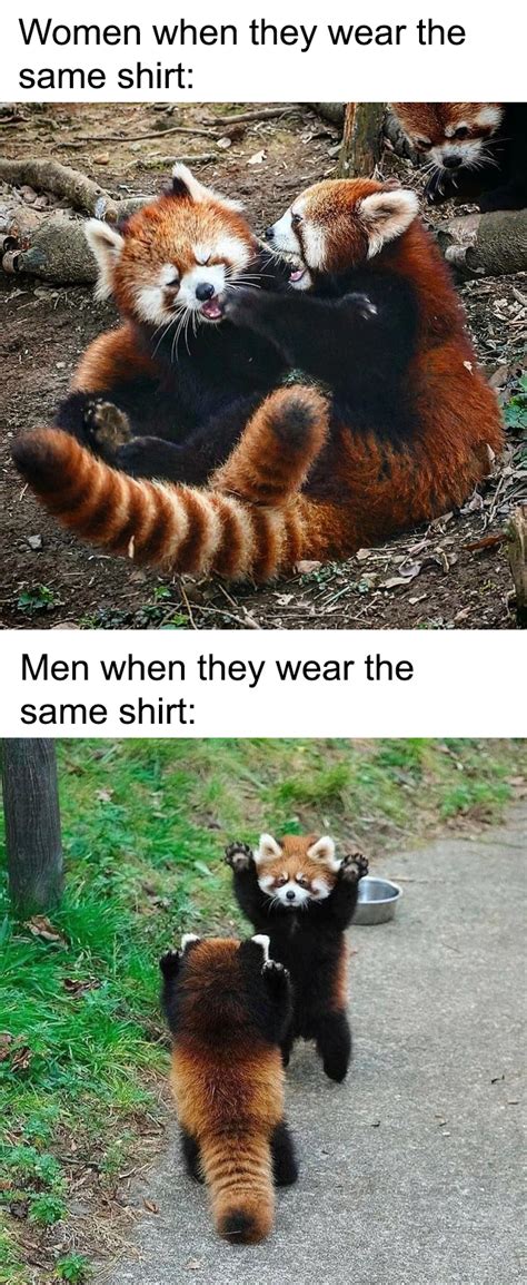 Red pandas don't care though : r/memes