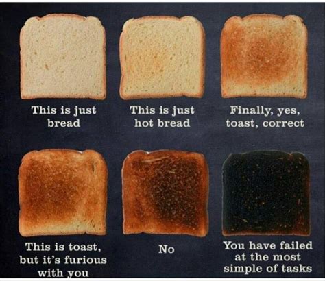 The best toast memes :) Memedroid