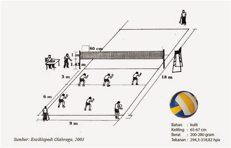 √ Sejarah Bola Voli (LENGKAP): Penjelasan, Teknik Bermain, dan ...