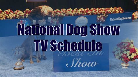 National Dog Show 2023 TV Schedule - Everything To Know - Dog Show TV