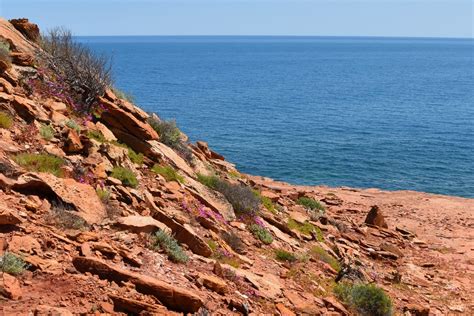 Kalbarri gorges and cliffs – Have Home Will Travel