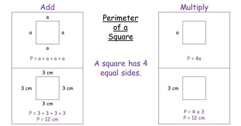 Perimeter Examples For Kids