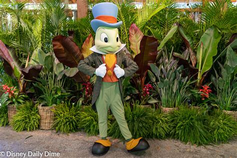 Complete Guide to Animal Kingdom Characters | Disney Daily Dime