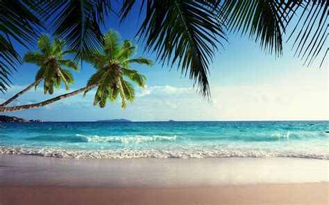 Tropical Beach Paradise Wallpapers - Wallpaper Cave