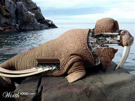 15 Awesome Cyborg Animals From a Photoshop Contest