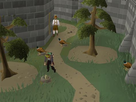 Forestry - OSRS Wiki