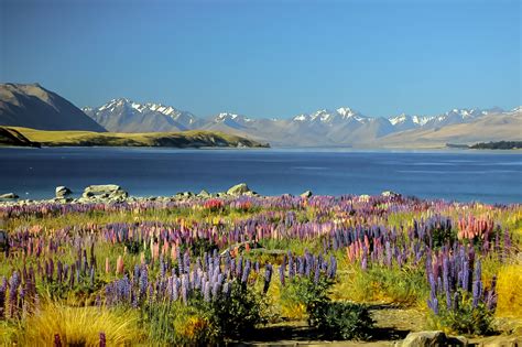 Lake Tekapo, New Zealand