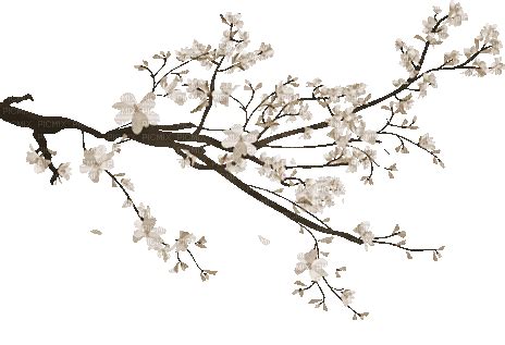 soave deco spring tree branch animated sepia, soave , deco , spring ...