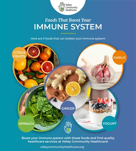 Quality Healthcare Services: 4 Foods That Boost Immunity