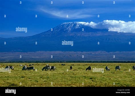 Amboseli Kenya Stock Photo - Alamy