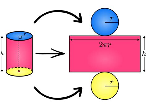 Surface Area of a Cylinder - GCSE Maths - Steps, Examples & Worksheet