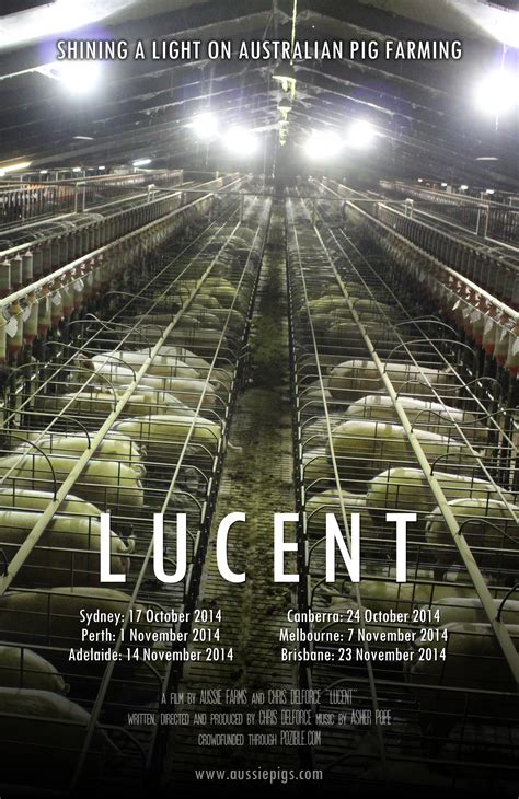 Lucent the Documentary - Australian Pig Farming: The Inside Story ...