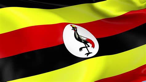 Uganda Waving Flag Background Loop Stock Motion Graphics SBV-307523438 ...