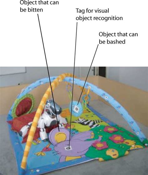 The playground experiment setup. | Download Scientific Diagram