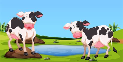 Two cows standing in farmyard 301398 Vector Art at Vecteezy