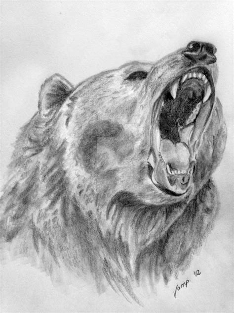 realistic bear drawing by VempireTattoo on DeviantArt