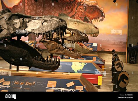 T Rex Center Eastend Saskatchewan Stock Photo - Alamy